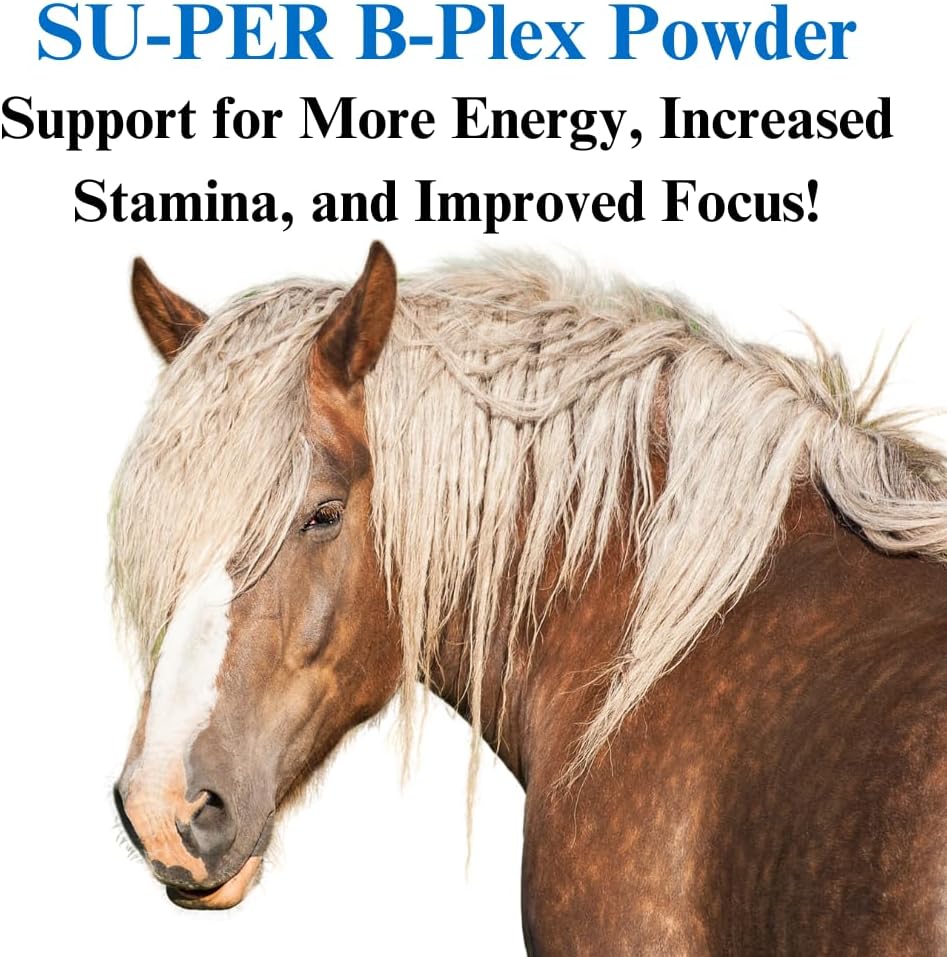 su-per-b-plex-powder-equine-vitamins---c-3.jpg