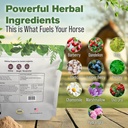 silver-lining-herbs-kidney-support-suppl-3.jpg