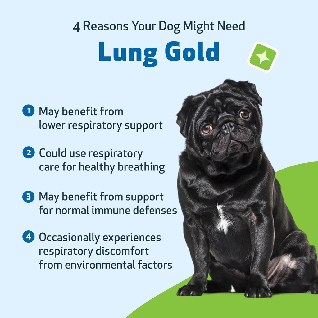 pet-wellbeing-lung-gold-for-dogs-cats----3.jpg
