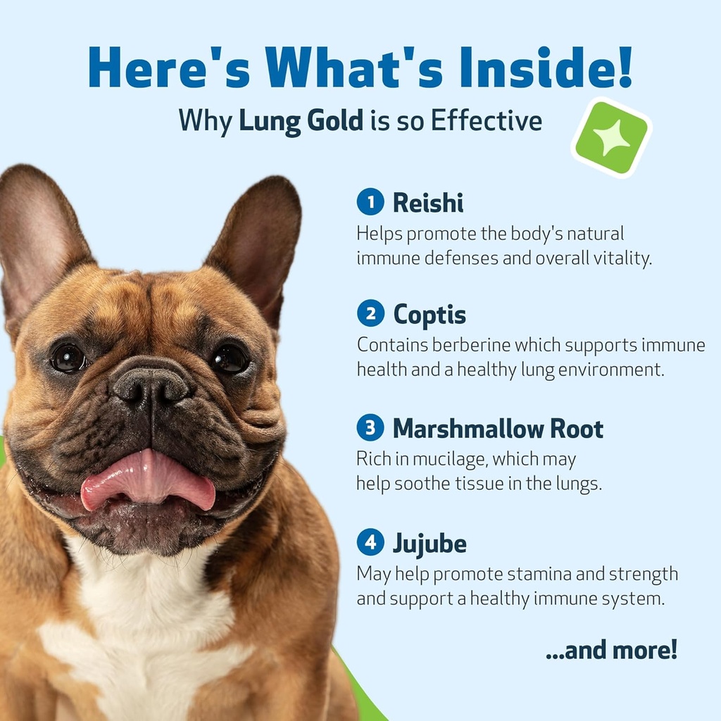 pet-wellbeing-lung-gold-for-dogs-cats----6.jpg