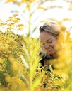 herb-pharm-certified-organic-goldenrod-l-4.jpg