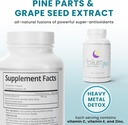 foliumpx-pure-pine-tree-partsgrape-seed--2.jpg