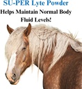 su-per-lyte-horse-electrolyte-supplement-2.jpg