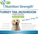 turkey-tail-mushroom-for-dogs-to-support-6.jpg