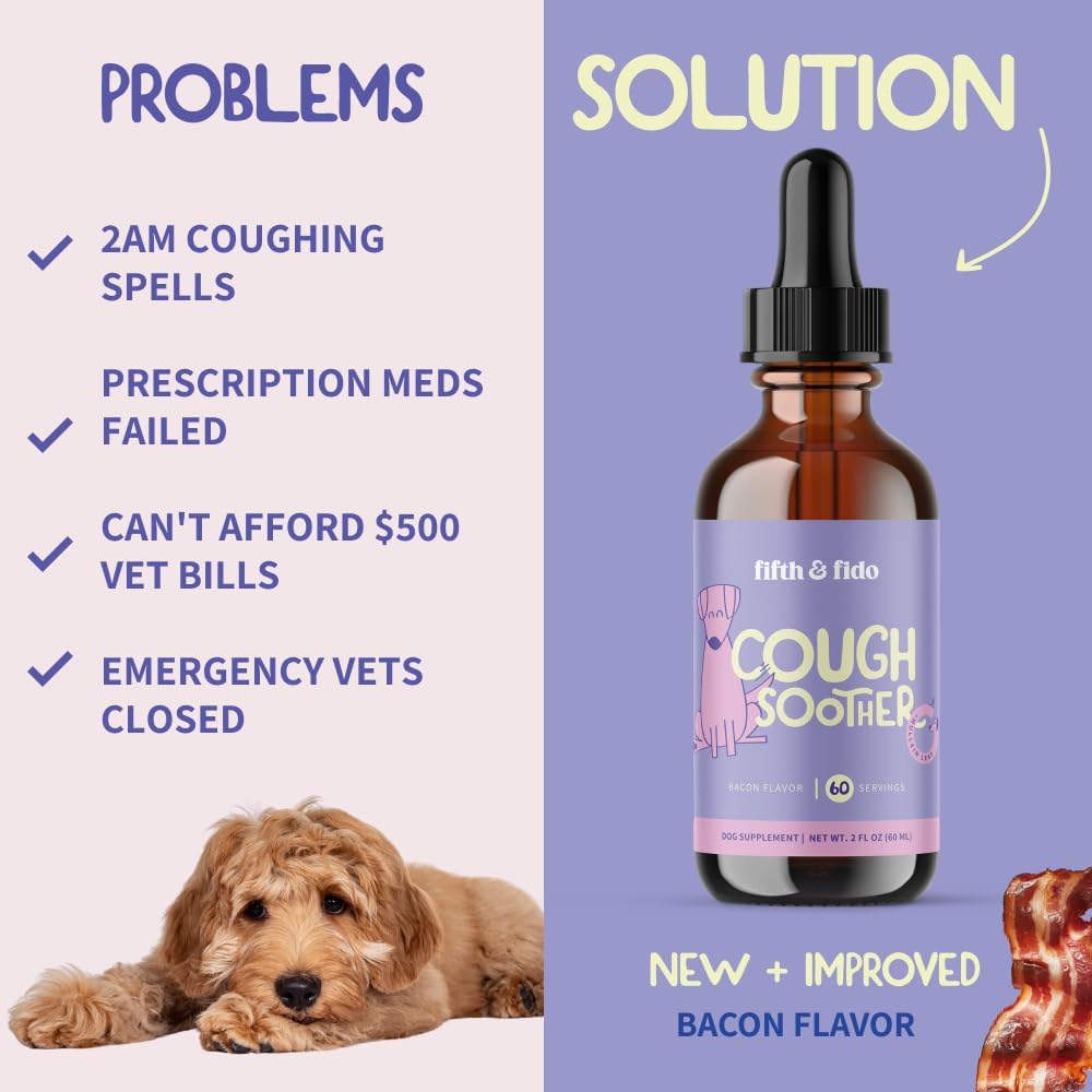 dog-coughing-remedy---kennel-cough---dog-3.jpg