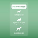 optimins-dog-vitamin-mineral-capsules----2.jpg