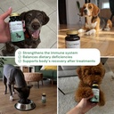 optimins-dog-vitamin-mineral-capsules----3.jpg