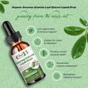 soursop-graviola-liquid-drop-high-absorp-2.jpg
