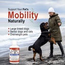 vital-earth-minerals-pet-fulvic---dog-al-3.jpg