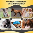 dog-multivitamin-liquid-13-in-1-dog-vita-3.jpg
