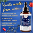 windsor-botanicals-vegan-collagen-builde-2.jpg
