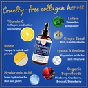 windsor-botanicals-vegan-collagen-builde-3.jpg