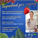 windsor-botanicals-vegan-collagen-builde-4.jpg