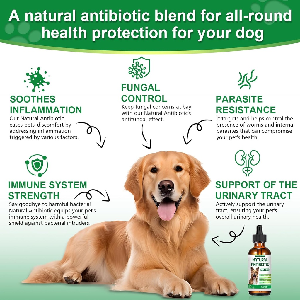 antibiotics-for-dogsnatural-antibiotics--2.jpg