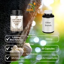 lions-mane-pills-mushroom-cognition-caps-6.jpg