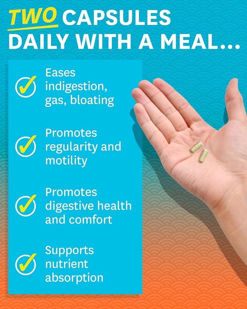 zenwise-no-indigestion---indigestion-rel-3.jpg