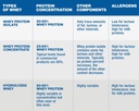 protein-powder-whey-protein-isolate-plai-5.jpg