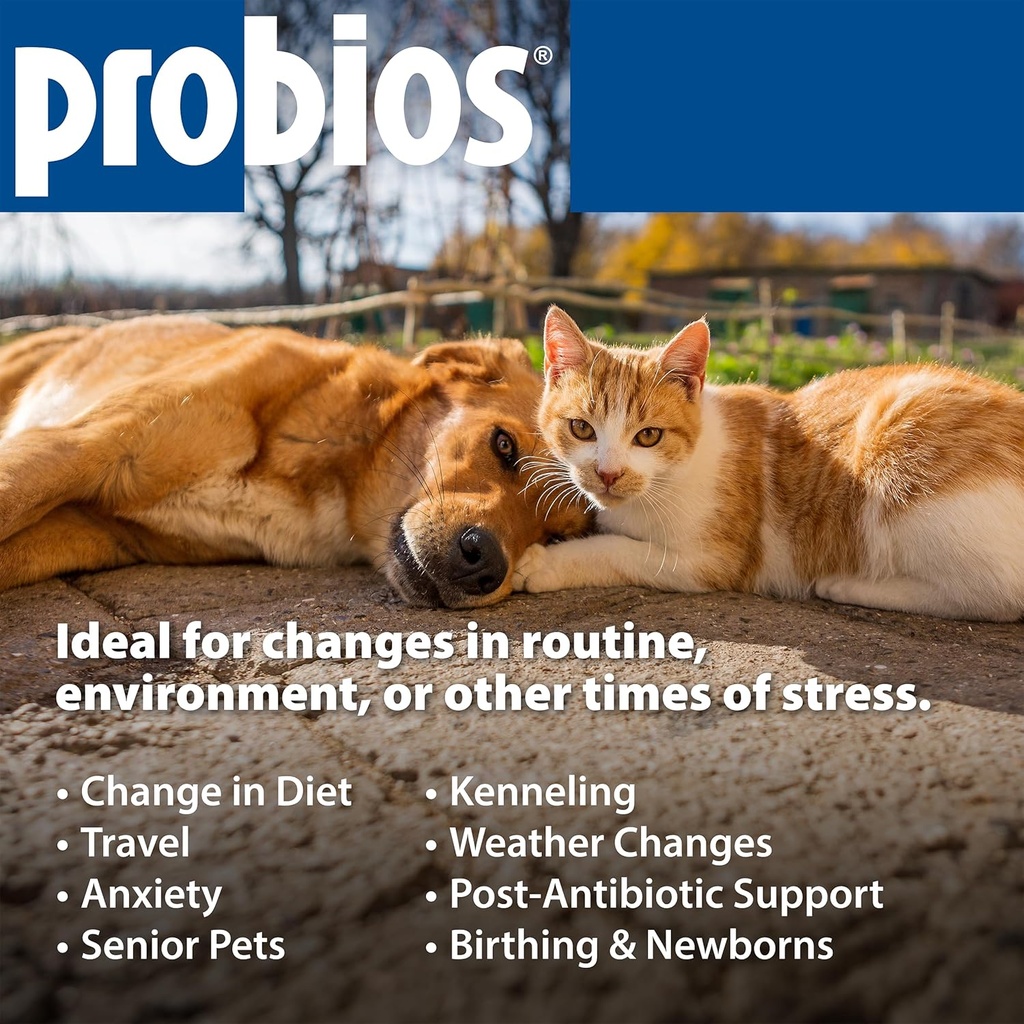 probios-intelliflora-for-dogs-daily-prob-6.jpg