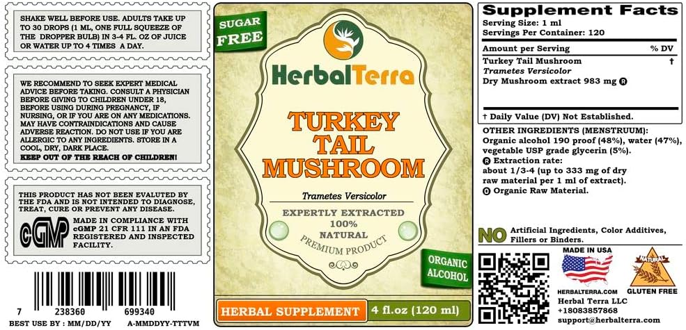 turkey-tail-mushroom-trametes-versicolor-2.jpg