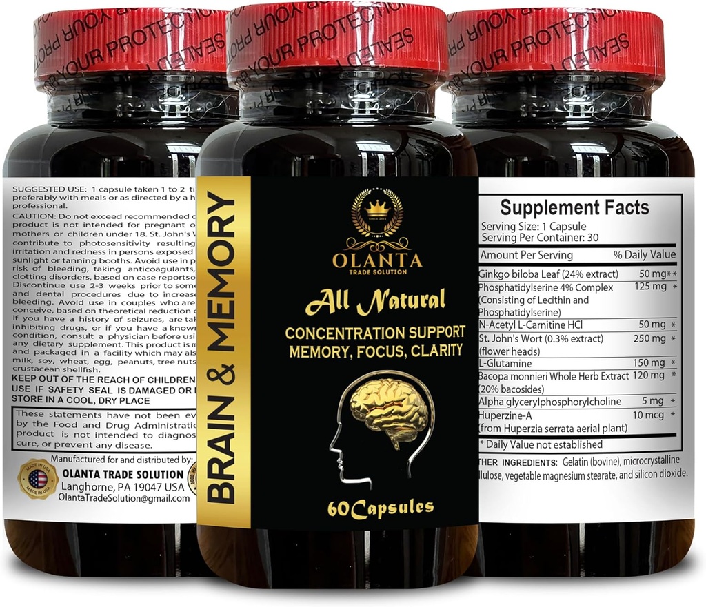 brain-memory-support---brain-function-an-3.jpg