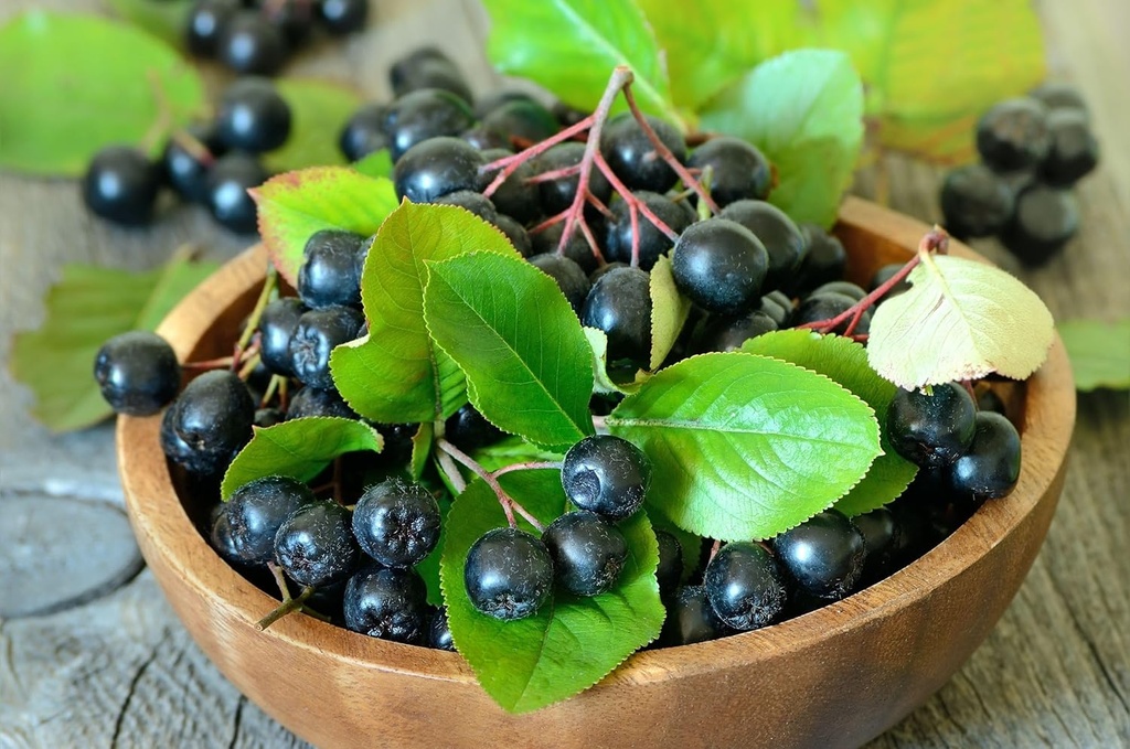 aronia-berry-powder-52-servings-supports-3.jpg