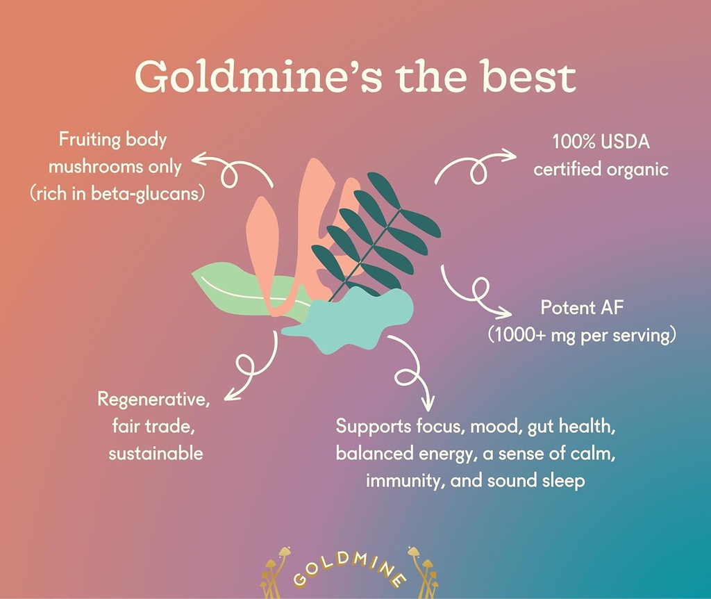 goldmine-supershroom-functional-power-re-2.jpg