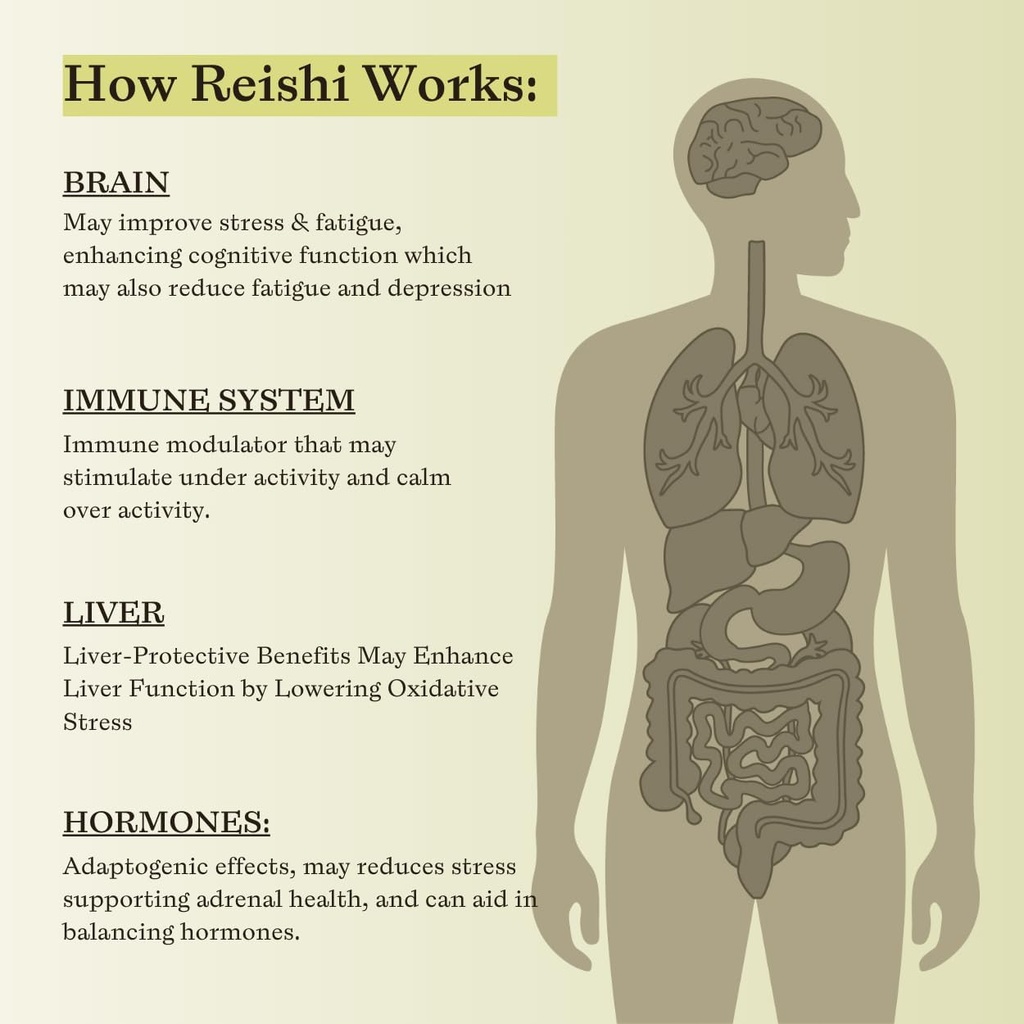 reishi-mushroom-triple-extract-tincture--4.jpg