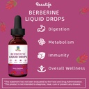 berberine-hcl-supplement---berberine-liq-4.jpg