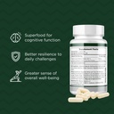 probase-nutrition-lions-mane-supplement--4.jpg