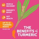 zyn-turmeric-wellness-drink-6-pack-mixed-3.jpg