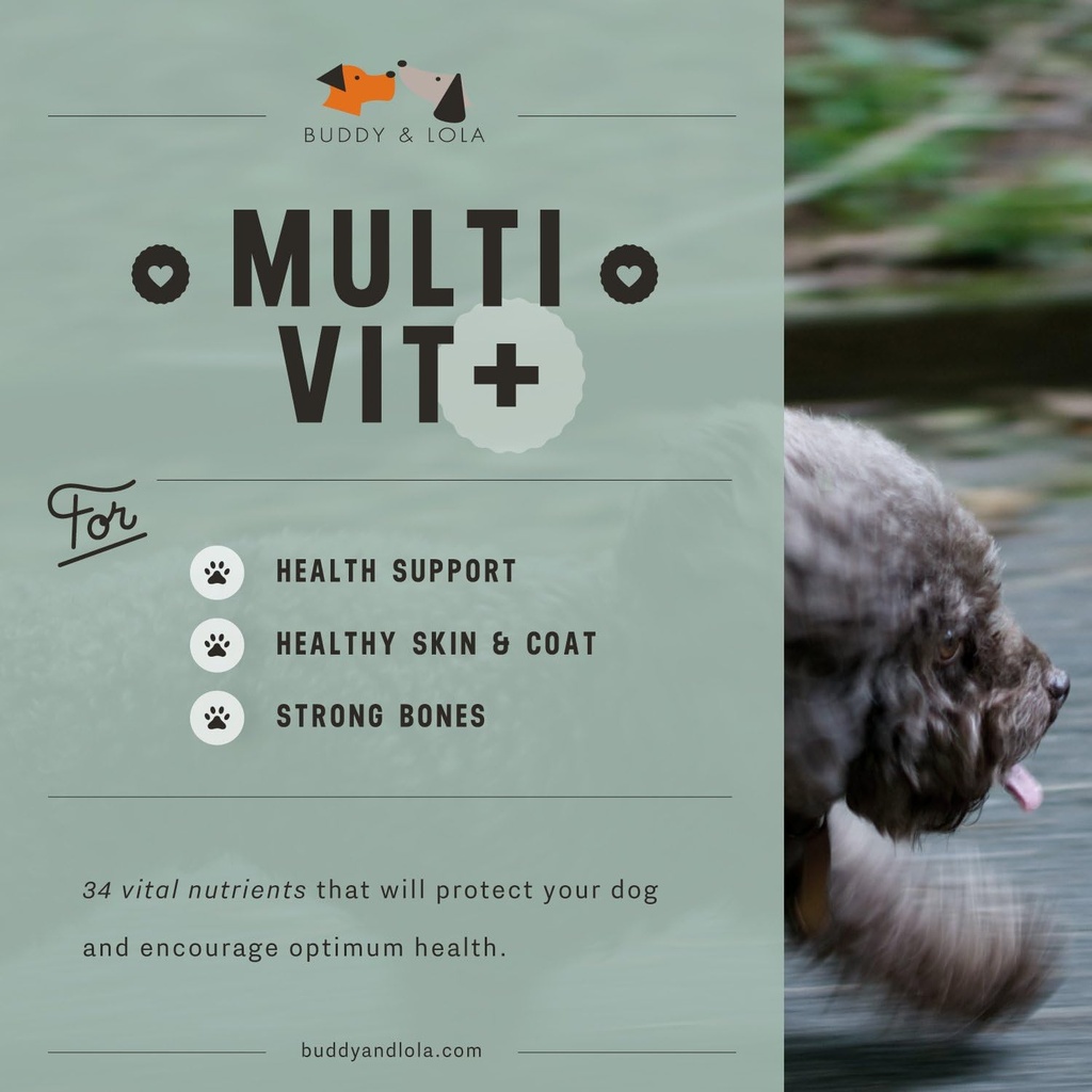 multivitamin-for-dogs-advanced-daily-sup-2.jpg