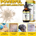yeast-infection-treatment-for-dogs-natur-5.jpg