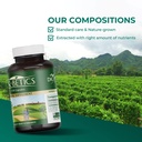dkbetics-gymnema-sylvestre-health-supple-5.jpg