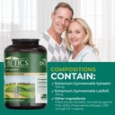 dkbetics-gymnema-sylvestre-health-supple-6.jpg