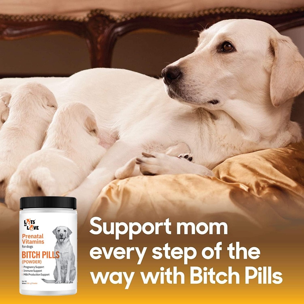 bitch-pills-powder-form---prenatal-vitam-3.jpg