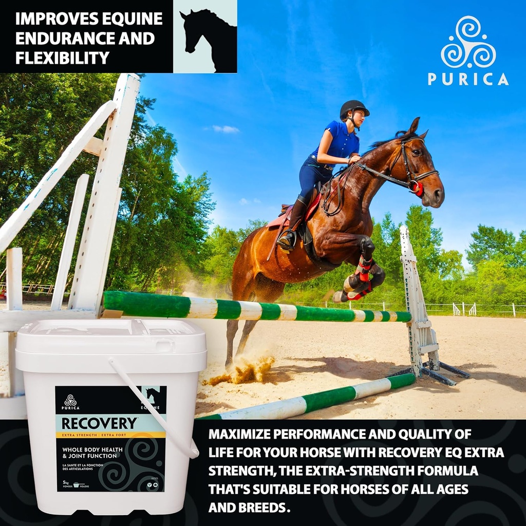 purica-recovery-extra-strength---equine--5.jpg