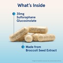 jarrow-formulas-broccomax-sulforaphane-g-3.jpg