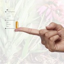 natures-answer-dong-quai-root-1000mg-die-6.jpg
