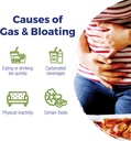 boiron-gasalia-tablets-for-relief-from-g-6.jpg
