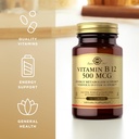 solgar-vitamin-b12-500-mcg---100-tablets-4.jpg