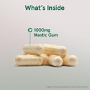 jarrow-formulas-mastic-gum-1000-mg-dieta-3.jpg