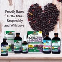 natures-answer-sambucus-immune-travel-sh-6.jpg