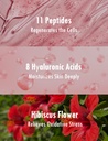 k-beauty-neogen-dermalogy-probiotics-you-5.jpg