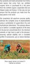 rebel-herbs-ginger-capsules-powerful-dua-6.jpg