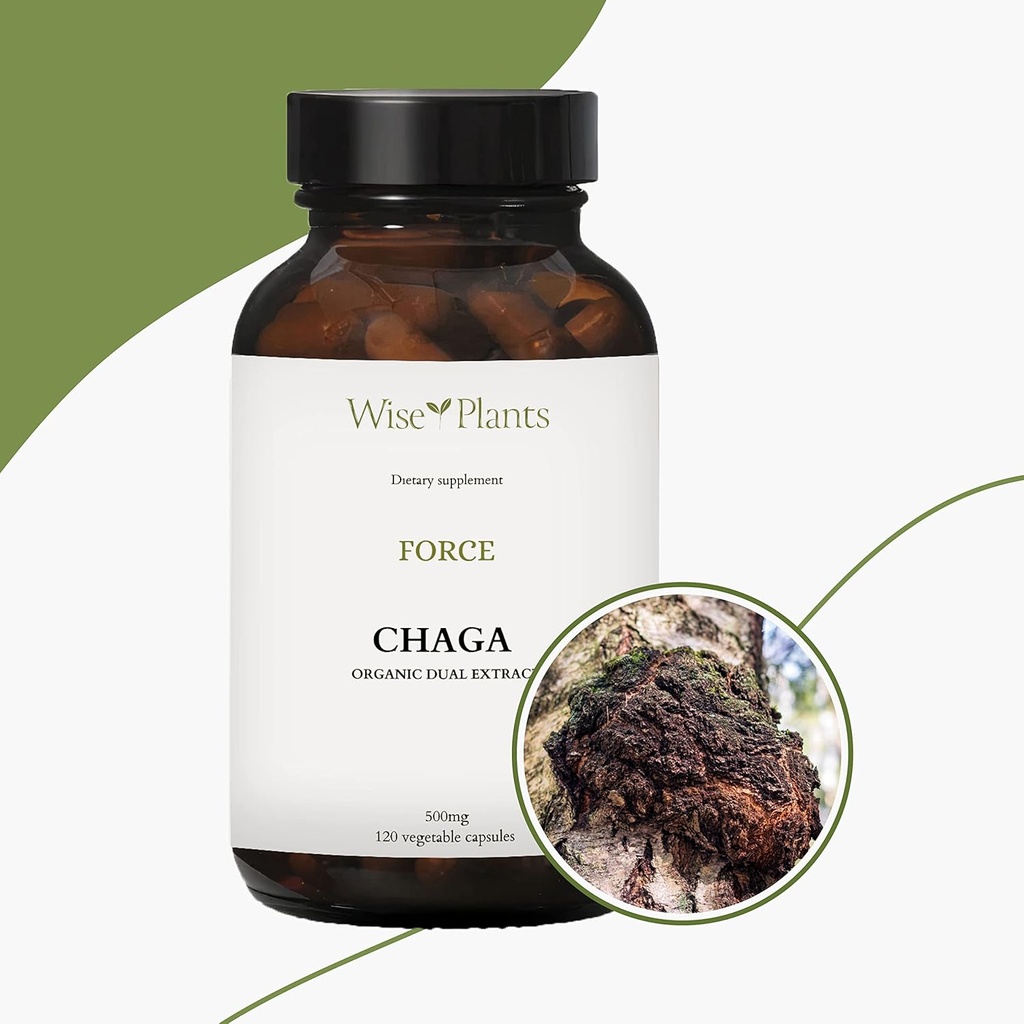 chaga-mushroom-supplement-dual-extract-p-6.jpg