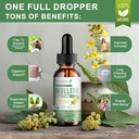 mullein-drops-for-lungs-lymphatic-draina-4.jpg