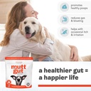 all-natural-3-in-1-dog-probiotic-prebiot-3.jpg