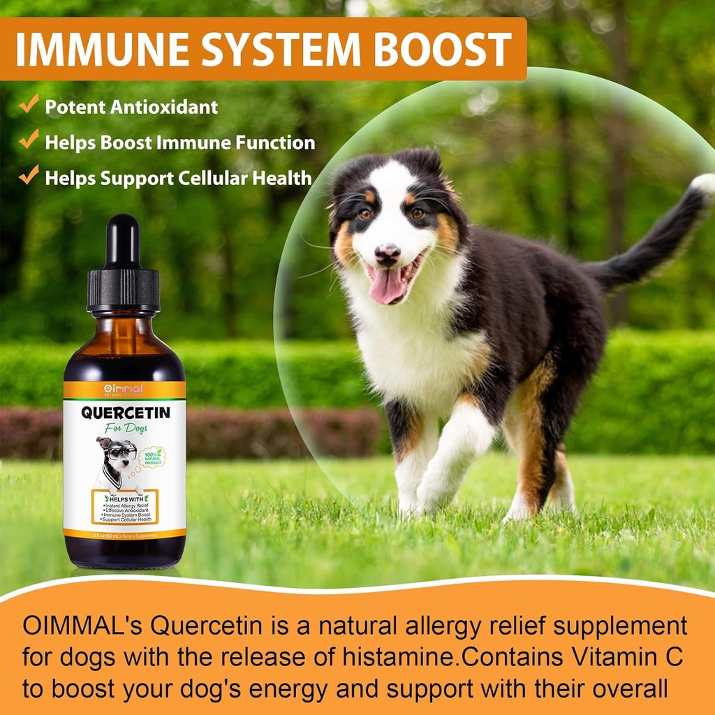 quercetin-for-dogs-dogs-quercetin-supple-6.jpg
