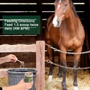 insulin-resistance-supplement-for-horses-6.jpg