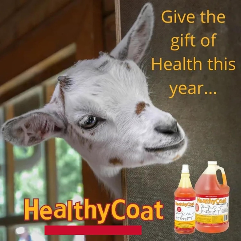 healthycoat-goat-formula-quart-skin-coat-4.jpg